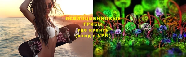 прущая мука Арсеньев