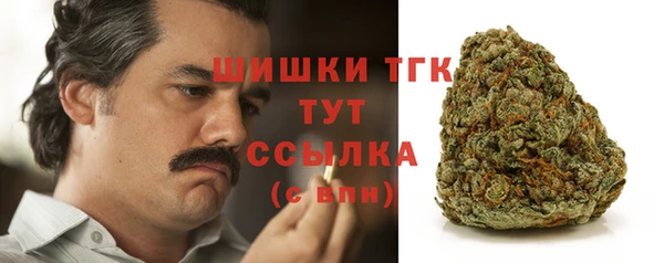 гашик Балахна
