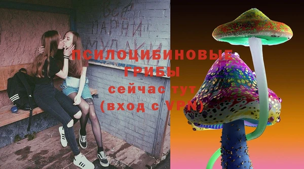 твердый Армянск